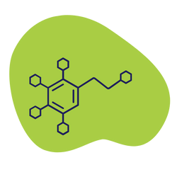 Bioquimico Vitalab