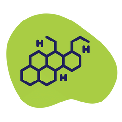Hormonal VITALAB