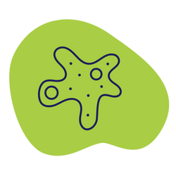 ParasitologiaVitalab
